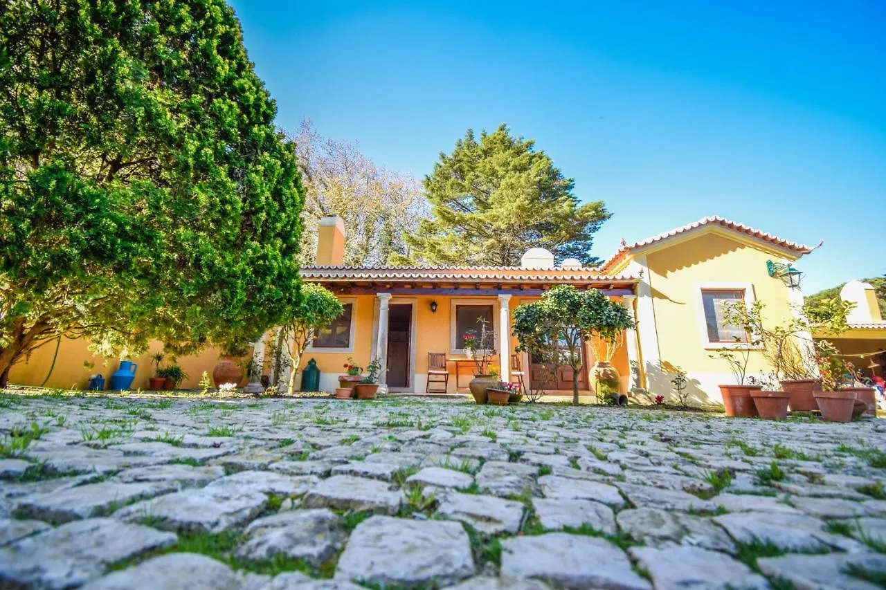 Holiday home Casa Das Rosas Villa Sintra